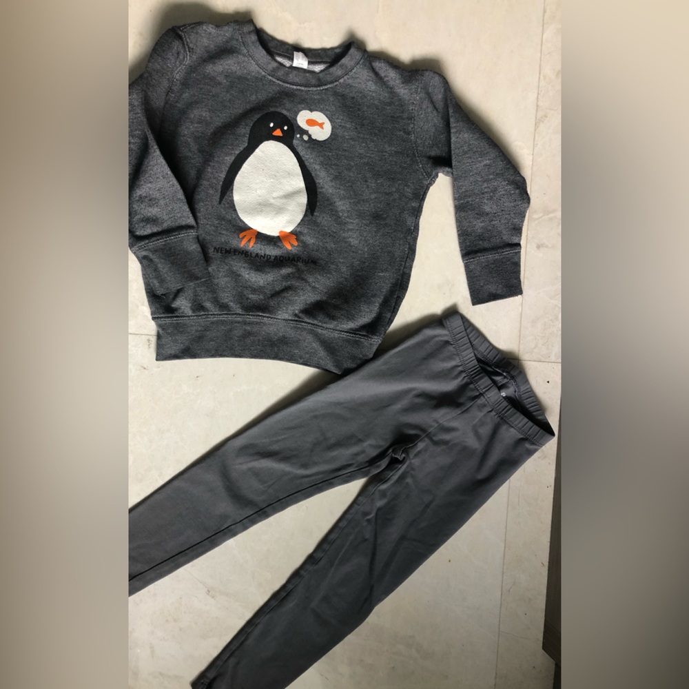 Kids Grey Penguin Sweatshirt & Matching Leggings Set